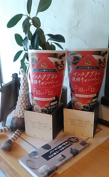 私と常滑焼の器との出逢い