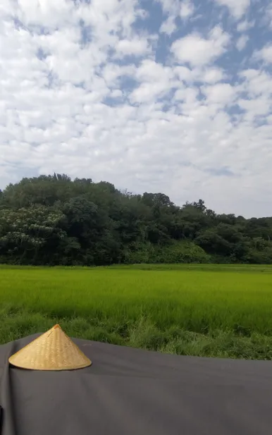 稲作
